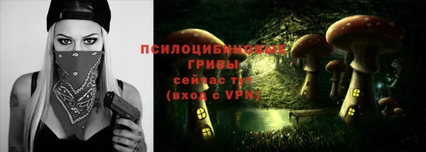 Альфа ПВП Алексин