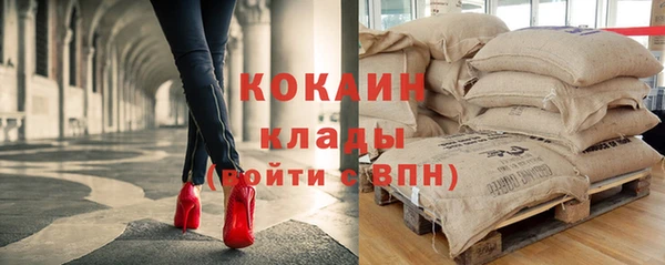 гашик Алзамай