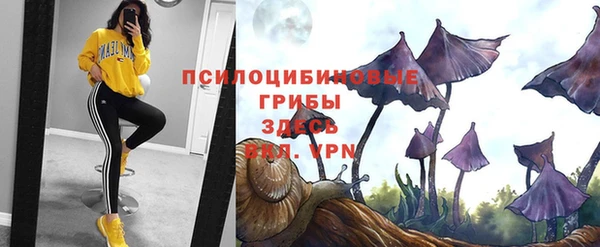 Альфа ПВП Алексин