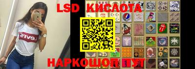 крисы Вышний Волочёк