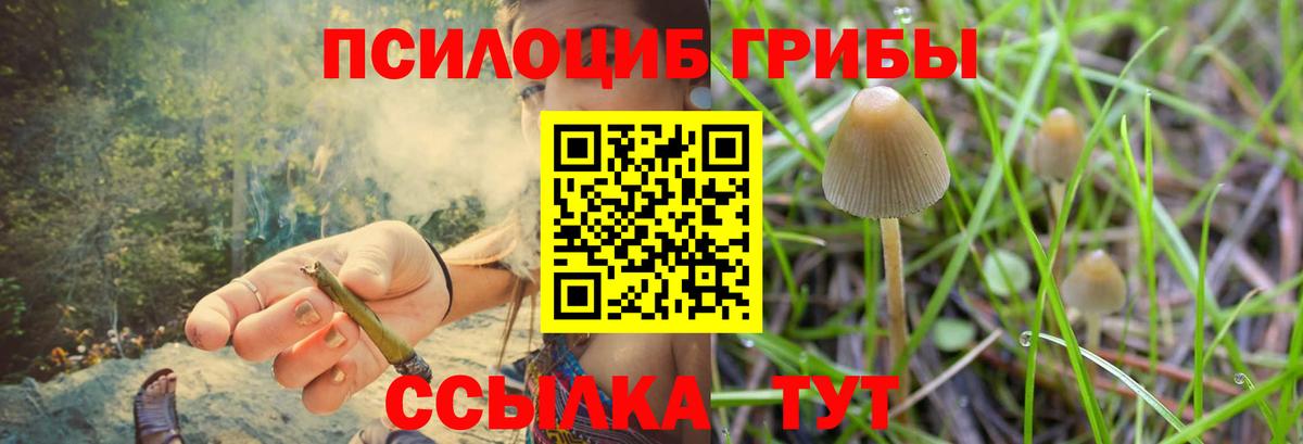 Галлюциногенные грибы мицелий  Галлюциногенные грибы MAGIC MUSHROOMS  Вход с VPN  Батайск 